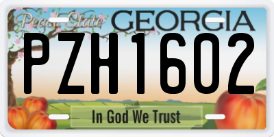 GA license plate PZH1602
