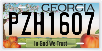 GA license plate PZH1607