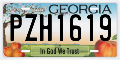 GA license plate PZH1619