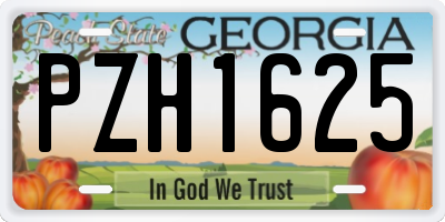 GA license plate PZH1625