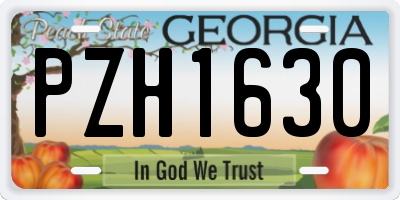 GA license plate PZH1630