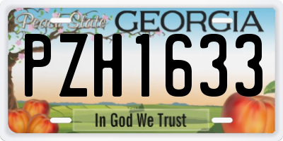 GA license plate PZH1633