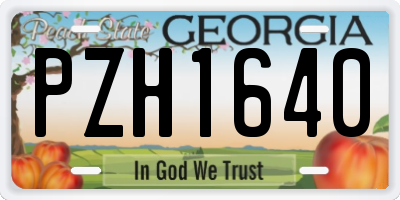 GA license plate PZH1640