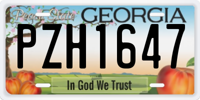 GA license plate PZH1647