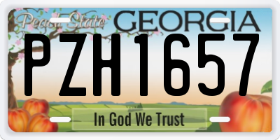 GA license plate PZH1657