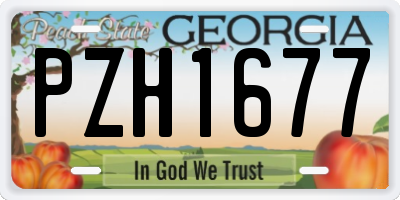GA license plate PZH1677