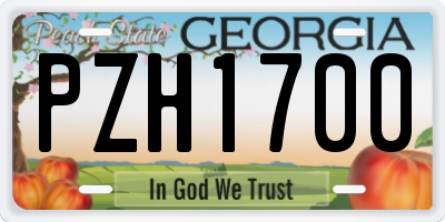 GA license plate PZH1700