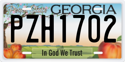 GA license plate PZH1702