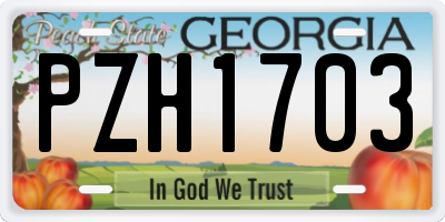 GA license plate PZH1703