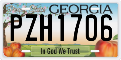 GA license plate PZH1706