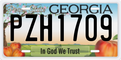 GA license plate PZH1709