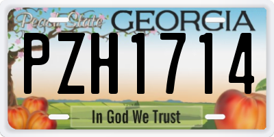 GA license plate PZH1714