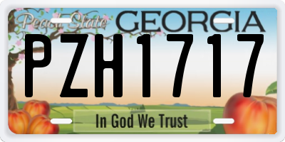 GA license plate PZH1717