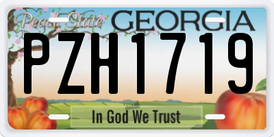 GA license plate PZH1719
