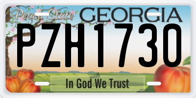 GA license plate PZH1730