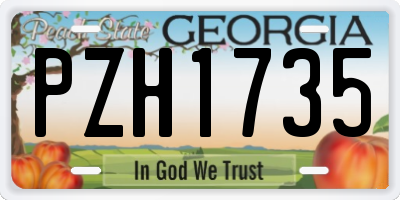 GA license plate PZH1735