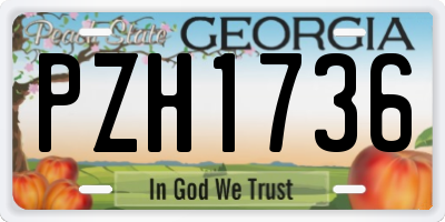GA license plate PZH1736