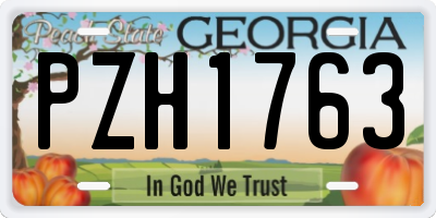 GA license plate PZH1763