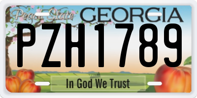 GA license plate PZH1789