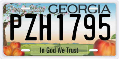 GA license plate PZH1795