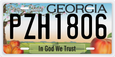 GA license plate PZH1806