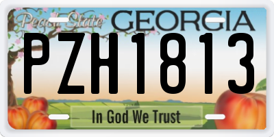 GA license plate PZH1813