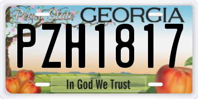 GA license plate PZH1817