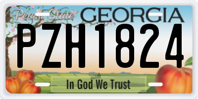 GA license plate PZH1824