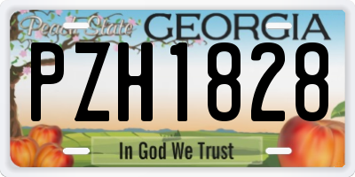 GA license plate PZH1828