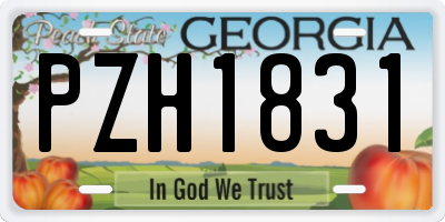 GA license plate PZH1831