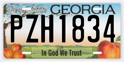 GA license plate PZH1834