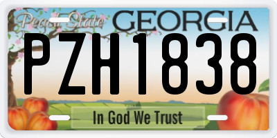 GA license plate PZH1838