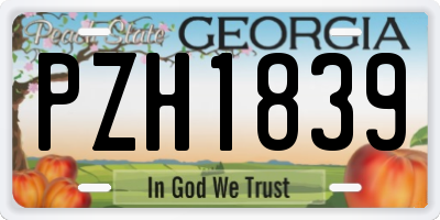 GA license plate PZH1839
