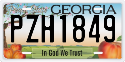 GA license plate PZH1849
