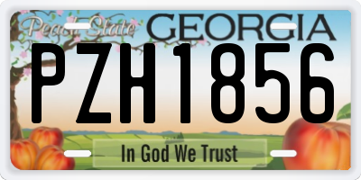 GA license plate PZH1856