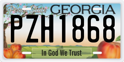 GA license plate PZH1868
