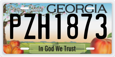 GA license plate PZH1873