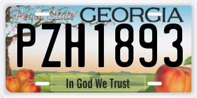 GA license plate PZH1893