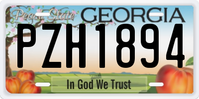 GA license plate PZH1894
