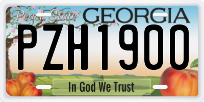 GA license plate PZH1900
