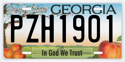 GA license plate PZH1901