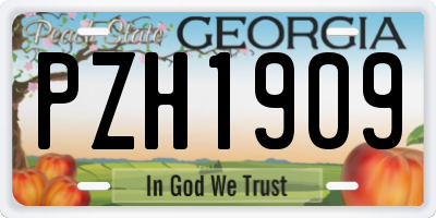 GA license plate PZH1909