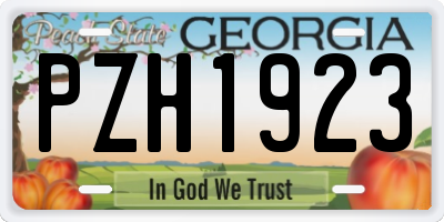 GA license plate PZH1923