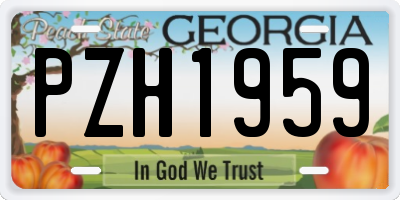 GA license plate PZH1959