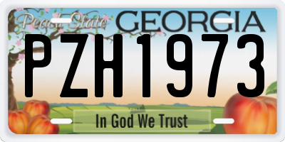 GA license plate PZH1973