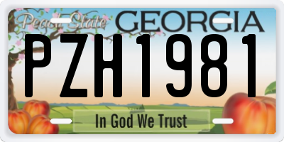 GA license plate PZH1981