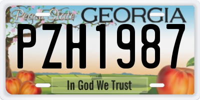 GA license plate PZH1987