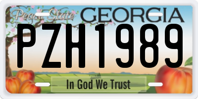 GA license plate PZH1989
