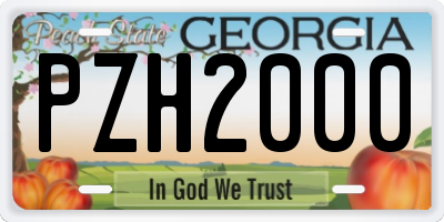 GA license plate PZH2000