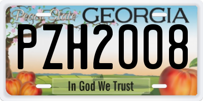 GA license plate PZH2008